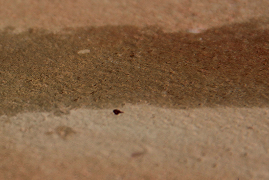  TERRACOTTA IMPREGNATOR