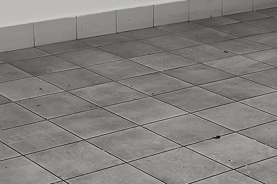  TILE CLEANER
