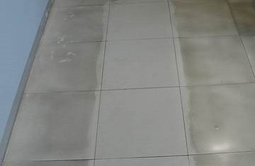  TILE CLEANER GEL