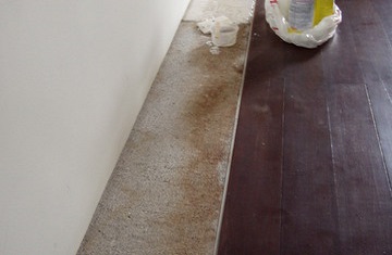 STAIN REMOVER POWDER